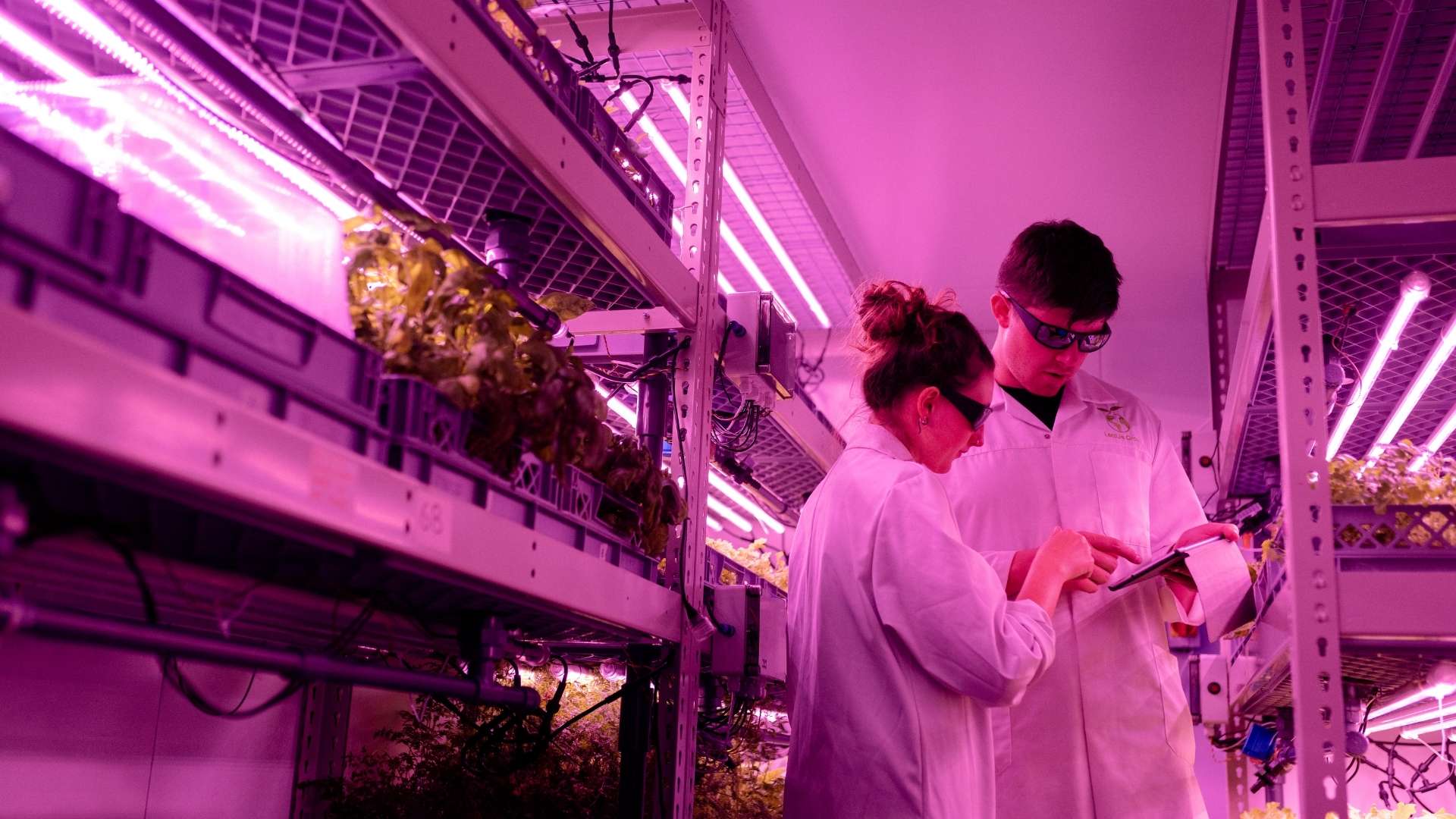 Why More Engineers and Scientists Are Pursuing MBA